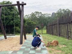 -清远熹乐谷温泉度假酒店