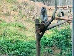 -宁波野生动物园