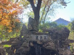 -上海醉白池公园