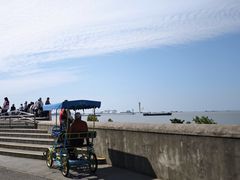 -上海滨江森林公园