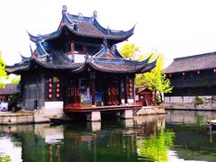 -鲁镇