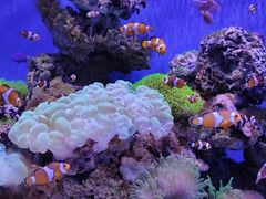 -多彩贵州城极地海洋世界