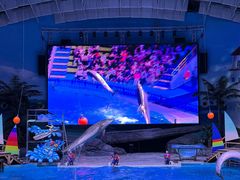 -海合安武汉极地海洋公园