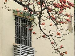 -广州中山纪念堂