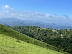 -大姆山草场