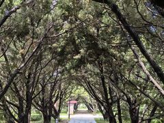 -洛阳古墓博物馆