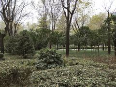 -唐城墙遗址公园