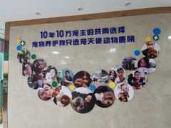 -天使宠物医院·犬猫分诊(彩虹店)