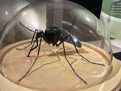 -宁波科学探索中心