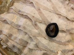 极品白肉砂锅-砂锅居(西四店)