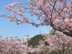 -新江湾城公园