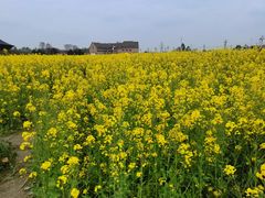 -中国天府农业博览园