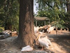 -动物园(地铁站)