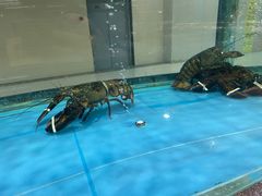 -宝燕海货工场(长江国际店)