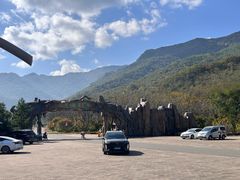 -龙道沟景区