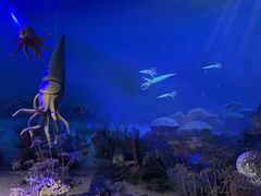 -国家自然博物馆