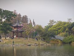 -四海公园(南山区)