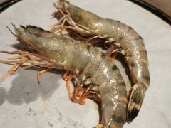 -熊出没日本烧肉放题
