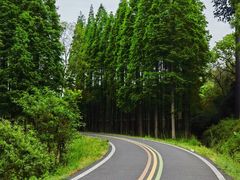 -宜兴龙背山森林公园