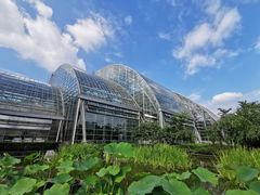 -南山植物园