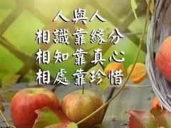 -大班家政月嫂育儿嫂(总部店)