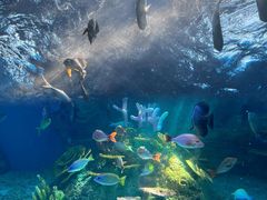 -泉城欧乐堡海洋极地世界