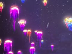 -华熙LIVE·528