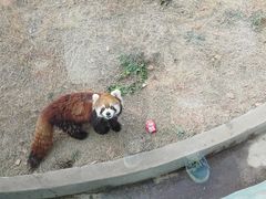 -无锡动物园·太湖欢乐园