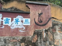 -惠山国家森林公园