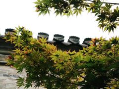 -回龙窝历史文化街区