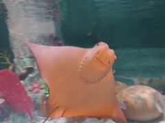 -沈阳海洋探索中心