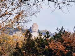 -蒙山大佛景区