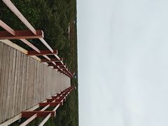 -北海金海湾红树林生态旅游区