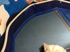 -海帆亲子游泳(茂业中心)