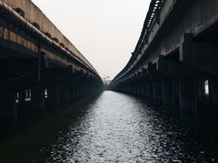 -丁香湖公园