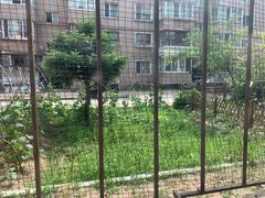 -金刚山(学府路店)