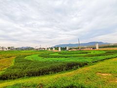 -光明小镇欢乐田园
