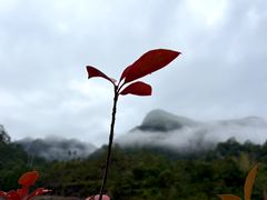 -雁荡山风景名胜区