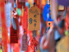 -罔极寺