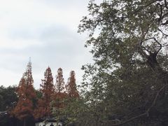 -汇龙潭