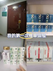-程氏苗堂苗技养生