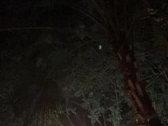 -碧水湾温泉