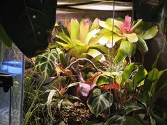 -Rabbit Cafe私房西餐甜点咖啡(栖霞路店)