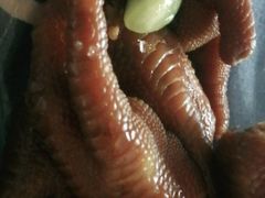 -紫光园·烤鸭·北京菜(劲松店)