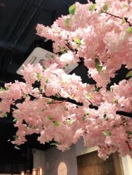 -简影造型·自选烫染接发salon