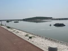 -南大港湿地风景区