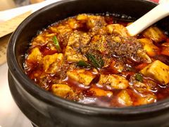 -陈麻婆豆腐总店