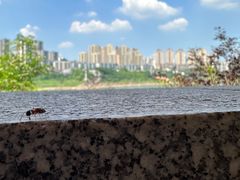 -磁器口古镇
