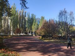 -黑龙江大学