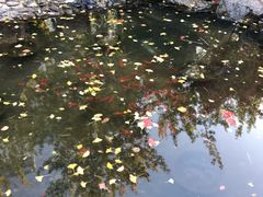 -辽宁大学(崇山校区)